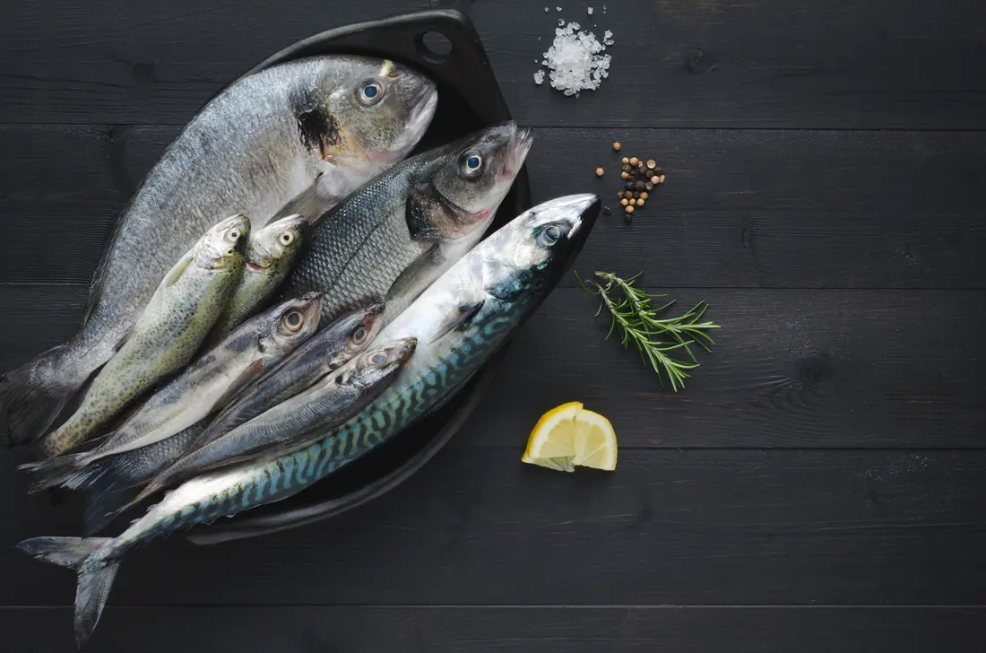 Fresh mackerel and sea bass on a dark slate